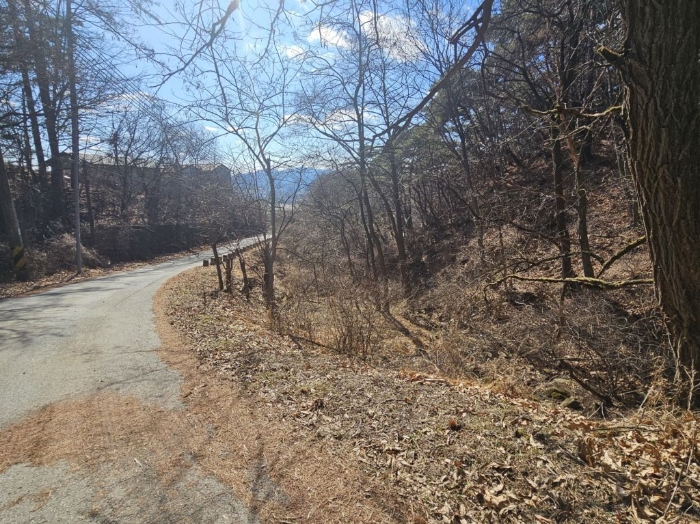 충청북도 음성군 음성읍 용산리 산11-3 외 3필지 임야 경매 사진 8