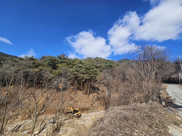 충청북도 음성군 음성읍 용산리 산11-3 외 3필지 임야 경매 사진 9