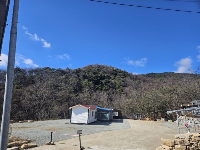 충청북도 음성군 음성읍 용산리 산11-3 외 3필지 임야 경매 사진 10