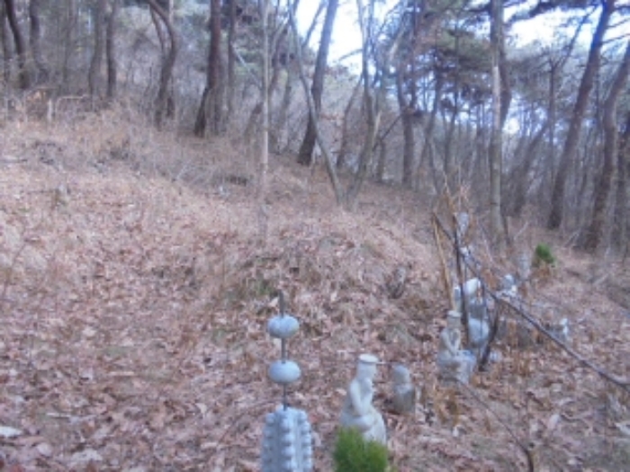 충청북도 음성군 음성읍 용산리 산11-22 임야 경매 사진 3