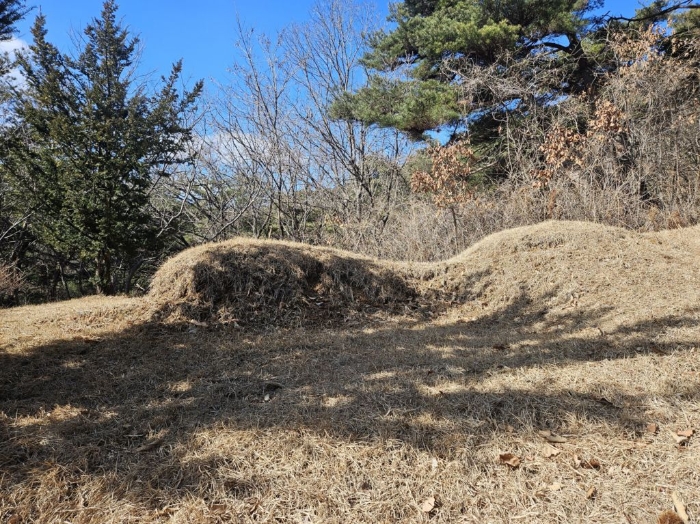 충청북도 음성군 음성읍 용산리 산11-22 임야 경매 사진 4