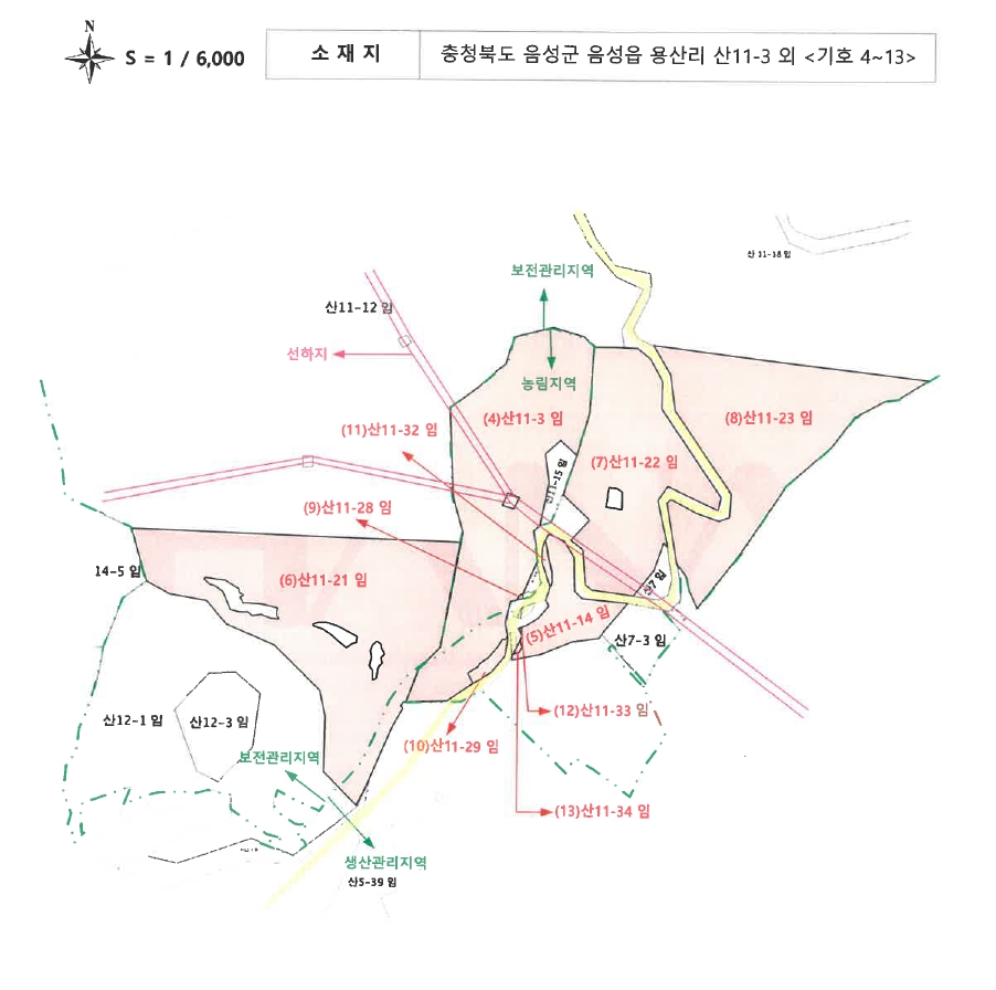 충청북도 음성군 음성읍 용산리 산11-22 임야 경매 사진 9