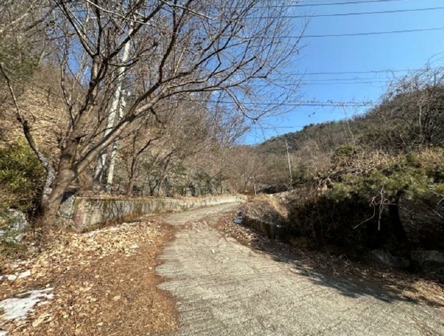 경기도 가평군 청평면 호명리 산132-72 임야 경매 사진 1