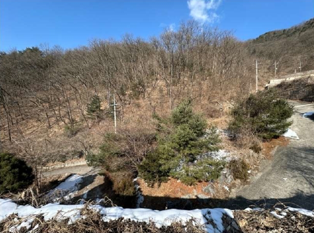 경기도 가평군 청평면 호명리 산132-72 임야 경매 사진 2