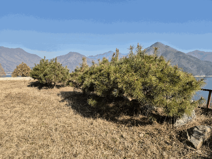 충청북도 충주시 종민동 325-1 외 10필지 상가주택 경매 사진 27