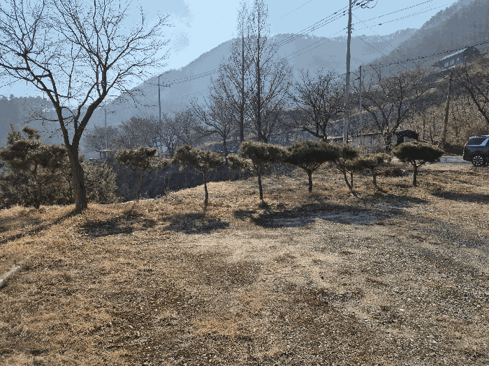 충청북도 충주시 종민동 325-1 외 10필지 상가주택 경매 사진 29