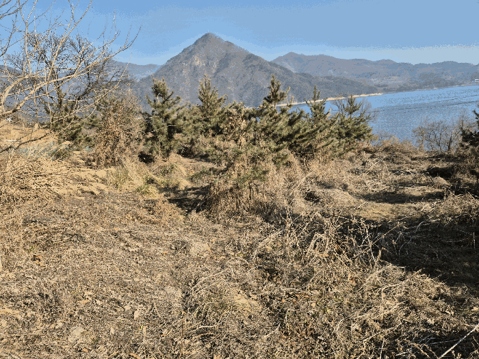 충청북도 충주시 종민동 325-1 외 10필지 상가주택 경매 사진 31