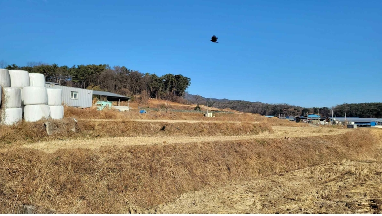 경상북도 경주시 안강읍 검단리 932 외 3필지 답 경매 사진 1