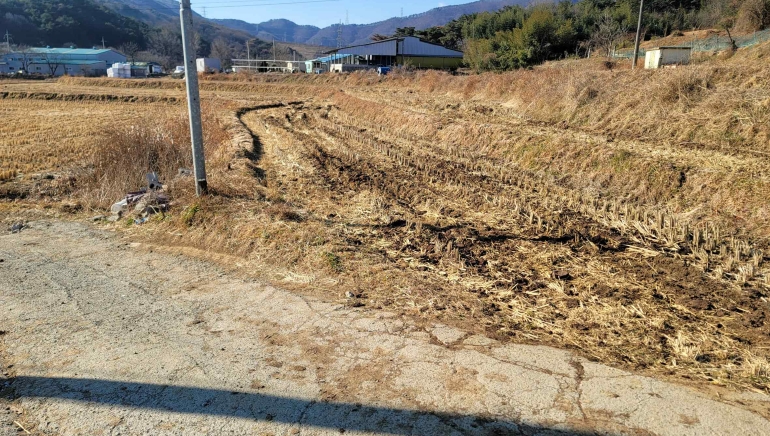 경상북도 경주시 안강읍 검단리 932 외 3필지 답 경매 사진 2
