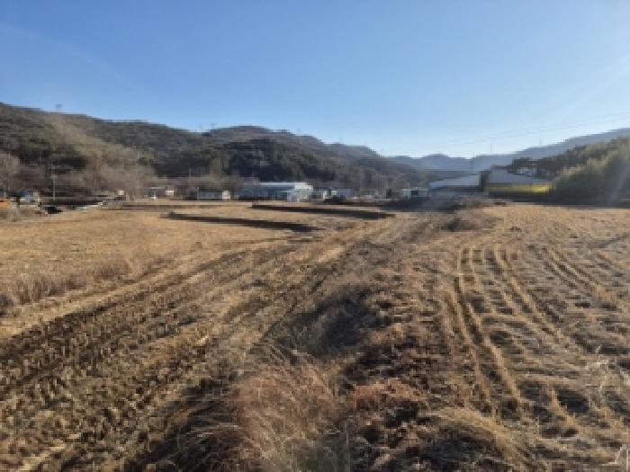 경상북도 경주시 안강읍 검단리 932 외 3필지 답 경매 사진 5