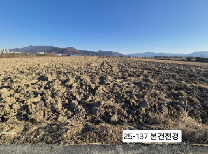 부산광역시 강서구 강동동 239-9 답 경매 사진 8