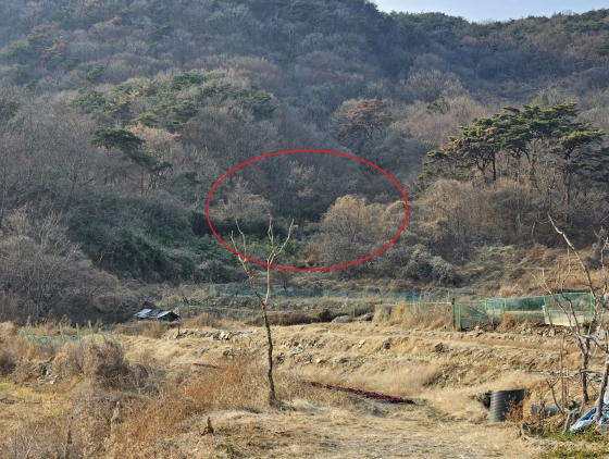 경상남도 양산시 호계동 54 외 1필지 전 경매 사진 1