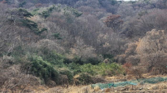 경상남도 양산시 호계동 54 외 1필지 전 경매 사진 3