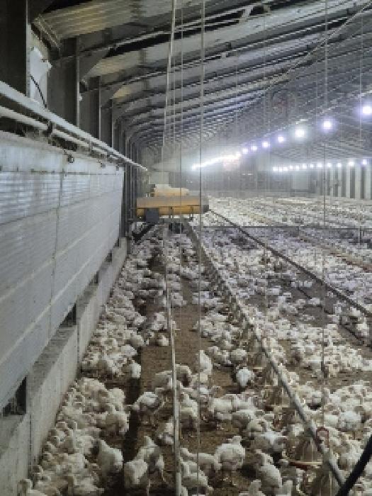 전남 나주시 공산면 화성리 484-5 외 1필지 동물및식물관련시설 경매 사진 1