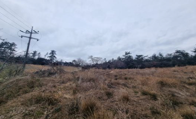 전라남도 해남군 황산면 부곡리 364-39 전 경매 사진 10
