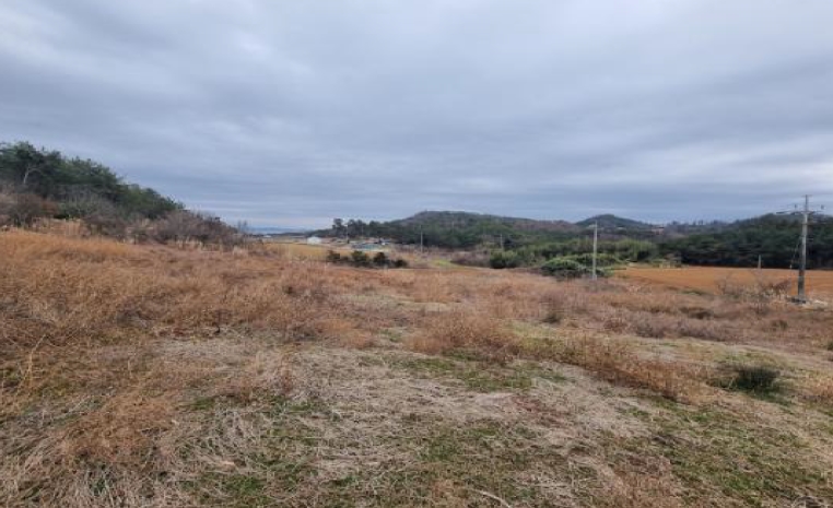 전라남도 해남군 황산면 부곡리 364-39 전 경매 사진 13