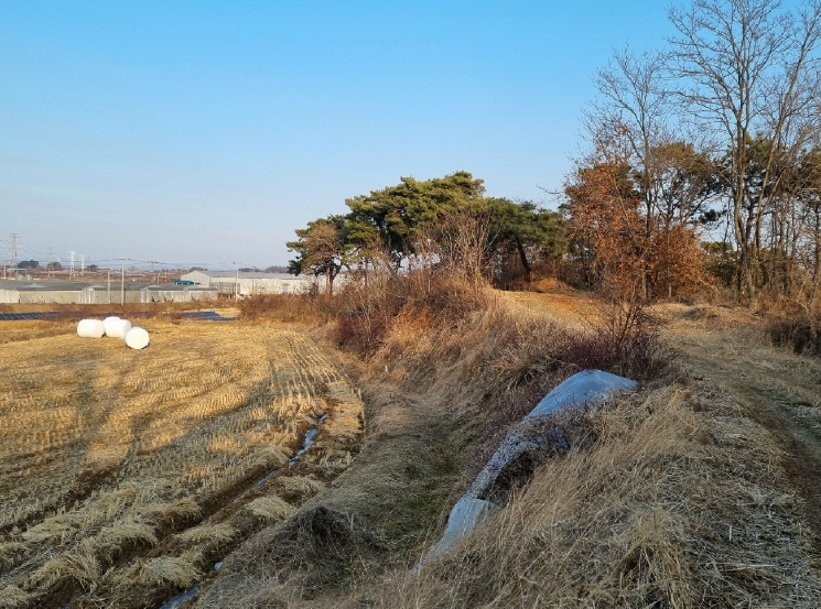 전북특별자치도 익산시 망성면 어량리 339-13 임야 경매 사진 5