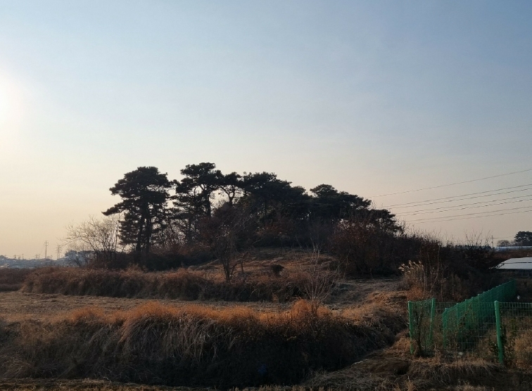 전북특별자치도 익산시 망성면 어량리 339-13 임야 경매 사진 6