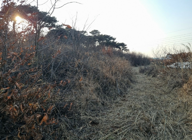 전북특별자치도 익산시 망성면 어량리 339-13 임야 경매 사진 7