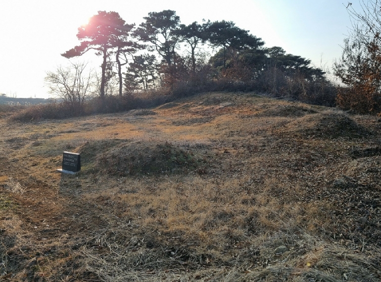 전북특별자치도 익산시 망성면 어량리 339-13 임야 경매 사진 8