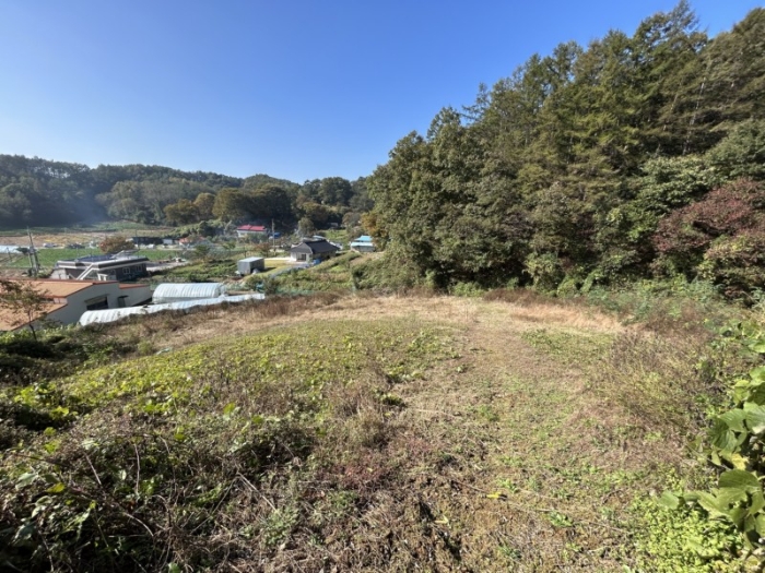 충청북도 보은군 산외면 가고리 33 전 경매 사진 3