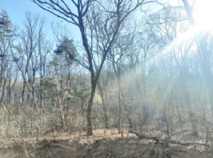 경기도 용인시 기흥구 영덕동 산139-3 외 1필지 임야 경매 사진 6