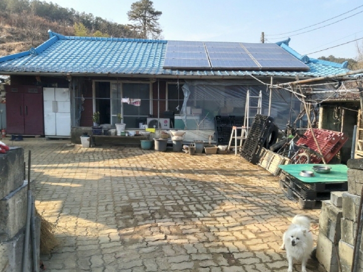 대전광역시 서구 오동 314 외 4필지 단독주택 경매 사진 1