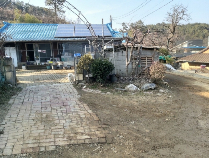 대전광역시 서구 오동 314 외 4필지 단독주택 경매 사진 2