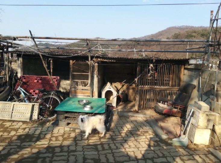 대전광역시 서구 오동 314 외 4필지 단독주택 경매 사진 12