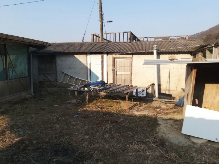 대전광역시 서구 오동 314 외 4필지 단독주택 경매 사진 22