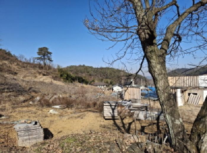 대전광역시 서구 오동 314 외 4필지 단독주택 경매 사진 39