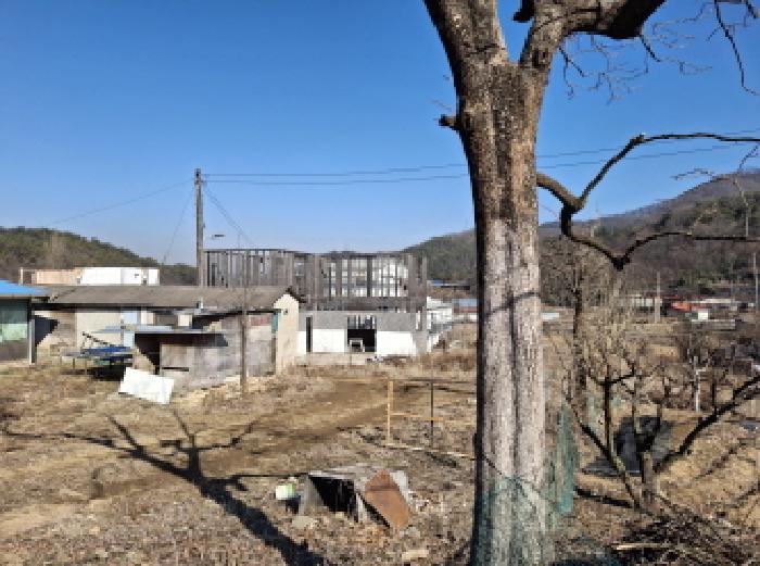 대전광역시 서구 오동 314 외 4필지 단독주택 경매 사진 41