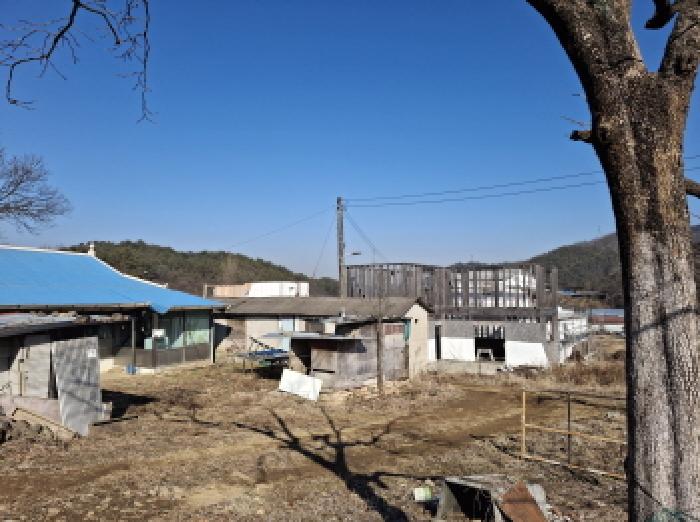 대전광역시 서구 오동 314 외 4필지 단독주택 경매 사진 42