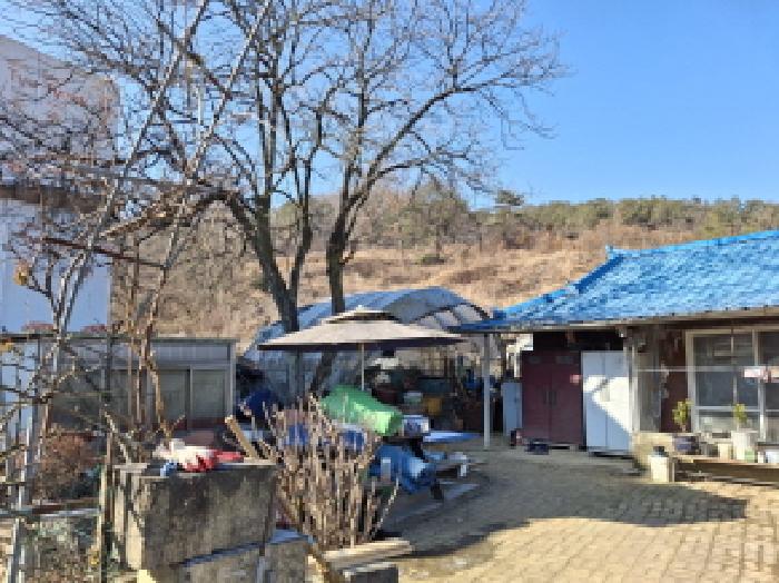 대전광역시 서구 오동 314 외 4필지 단독주택 경매 사진 43