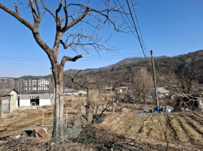 대전광역시 서구 오동 314 외 4필지 단독주택 경매 사진 58
