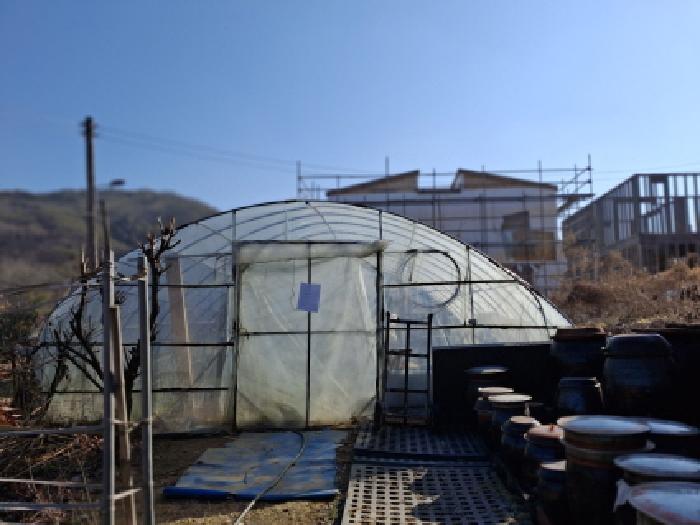 대전광역시 서구 오동 314 외 4필지 단독주택 경매 사진 63