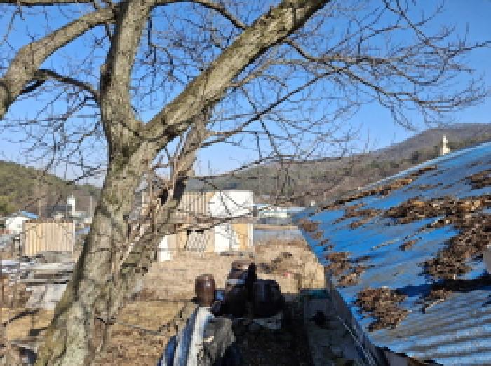대전광역시 서구 오동 314 외 4필지 단독주택 경매 사진 83