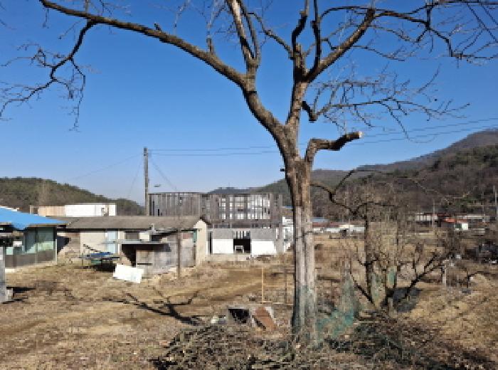 대전광역시 서구 오동 314 외 4필지 단독주택 경매 사진 85