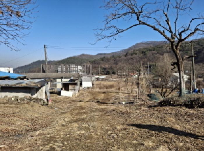 대전광역시 서구 오동 314 외 4필지 단독주택 경매 사진 86