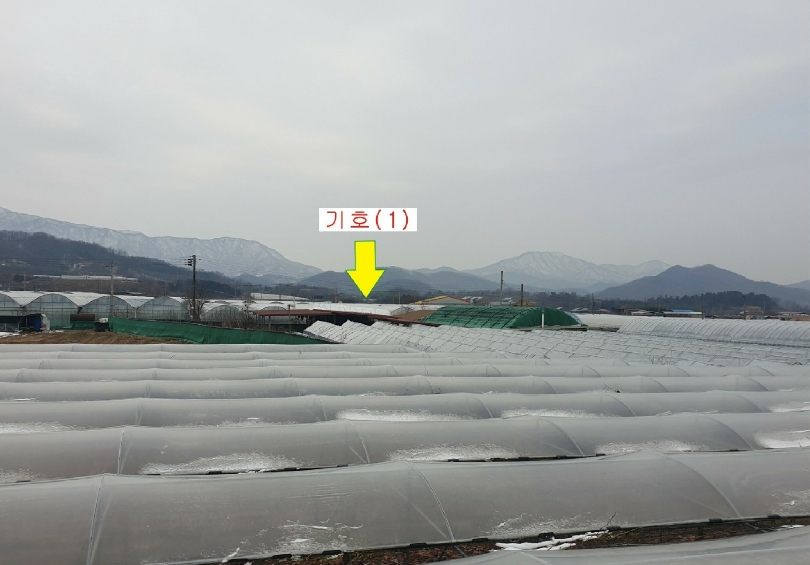 경상북도 김천시 대항면 대룡리 379 답 경매 사진 21