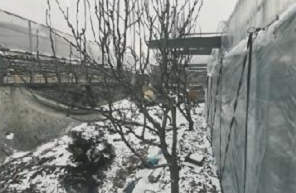 경상북도 김천시 대항면 대룡리 379 답 경매 사진 35