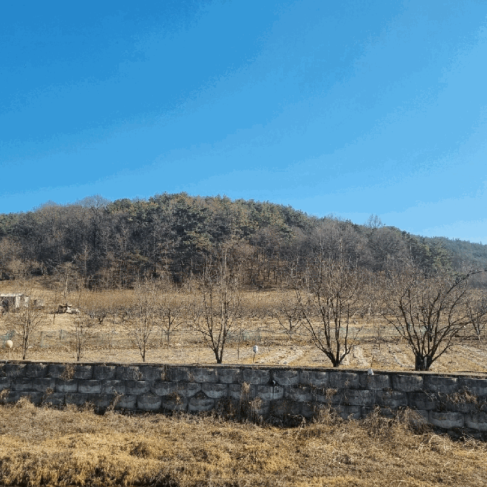 경상북도 상주시 낙동면 상촌리 산32-8 임야 경매 사진 37