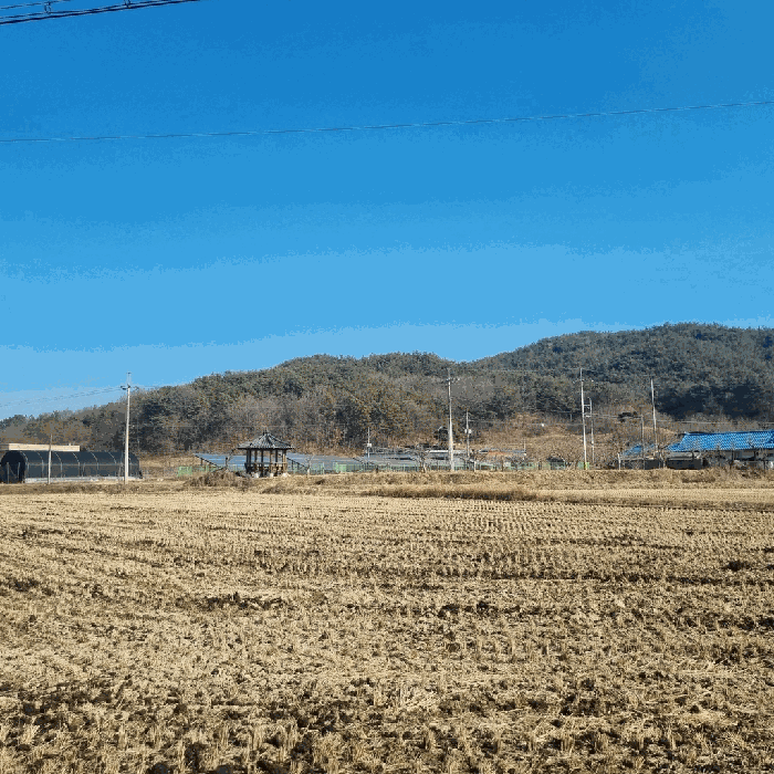 경상북도 상주시 낙동면 상촌리 산32-8 임야 경매 사진 39