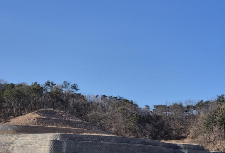 경상북도 영덕군 축산면 도곡리 산82-1 외 1필지 임야 경매 사진 5