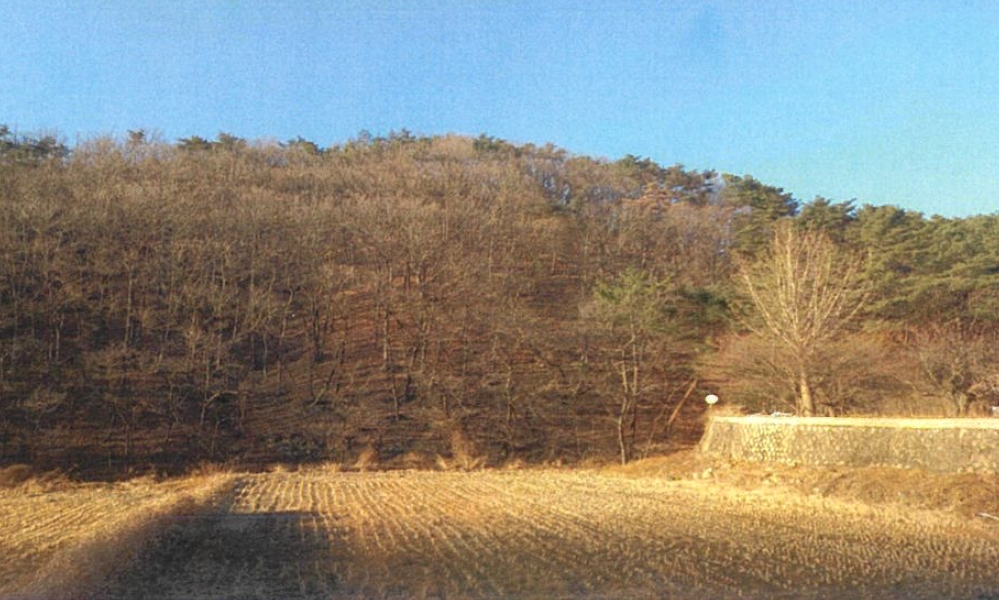 울산광역시 울주군 웅촌면 대복리 31-32 임야 경매 사진 2