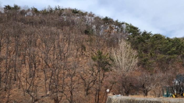 울산광역시 울주군 웅촌면 대복리 31-32 임야 경매 사진 4