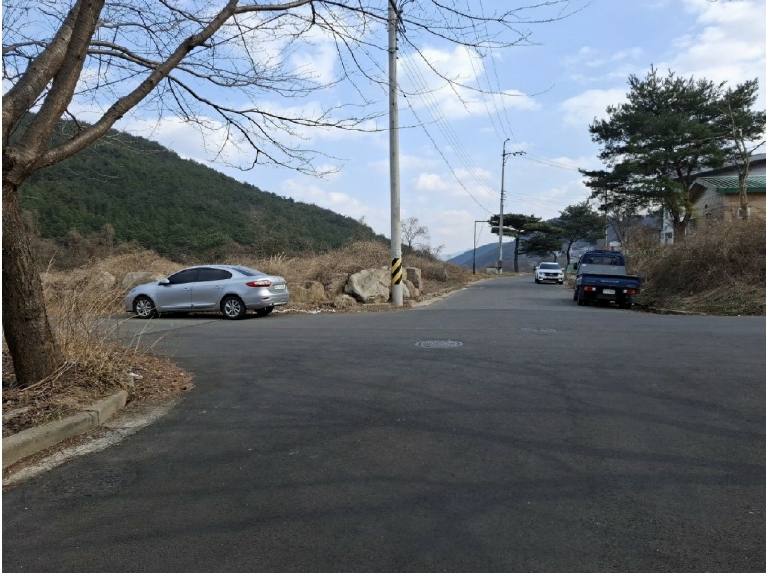 울산광역시 울주군 상북면 등억알프스리 501-2 대지,임야,전답 경매 사진 3
