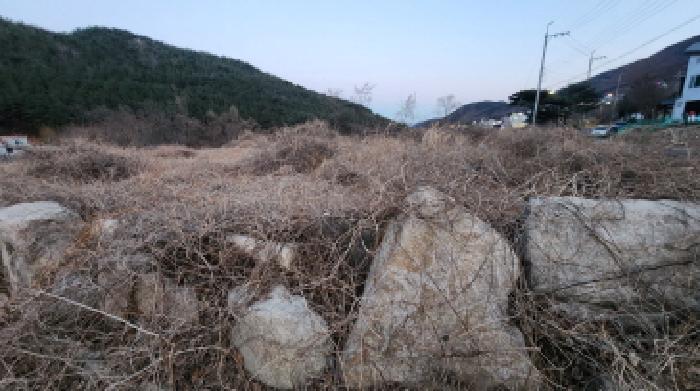 울산광역시 울주군 상북면 등억알프스리 501-2 대지,임야,전답 경매 사진 5