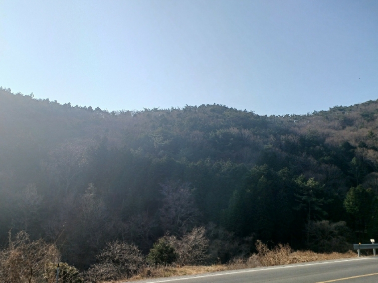 경상남도 남해군 미조면 송정리 산92-4 임야 경매 사진 5