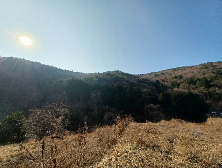 경상남도 남해군 미조면 송정리 산92-4 임야 경매 사진 8